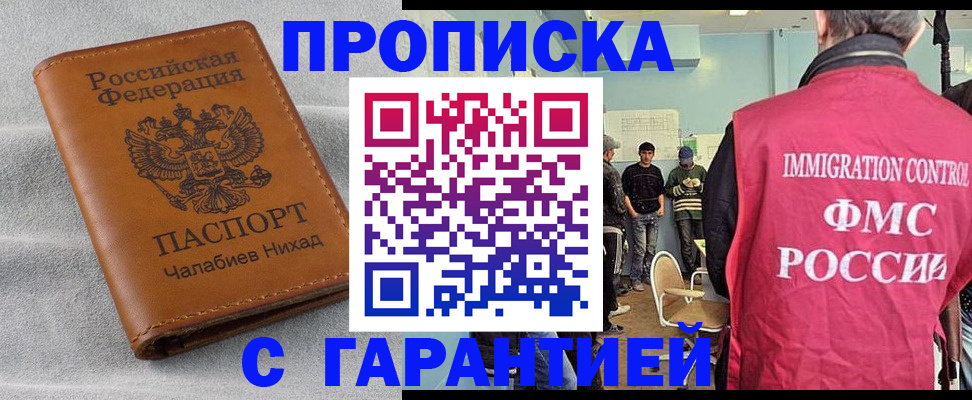 прописка в Щиграх